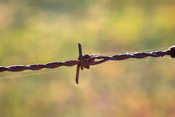 Wire fence close up — Stock Photo, Image