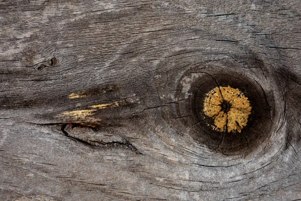 Close-up wooden texture — Stock Photo, Image