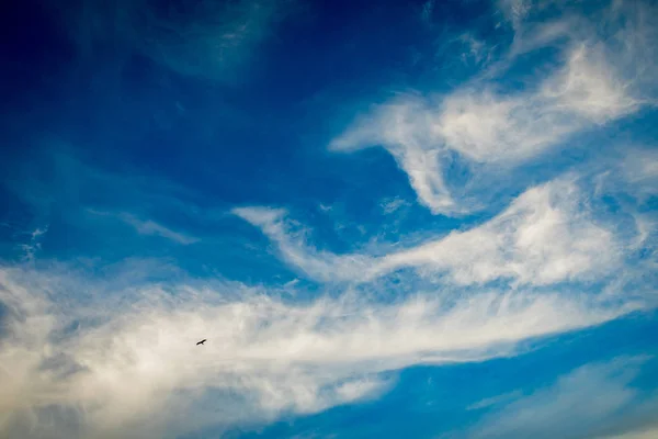 Blå himmel bakgrund med moln — Stockfoto