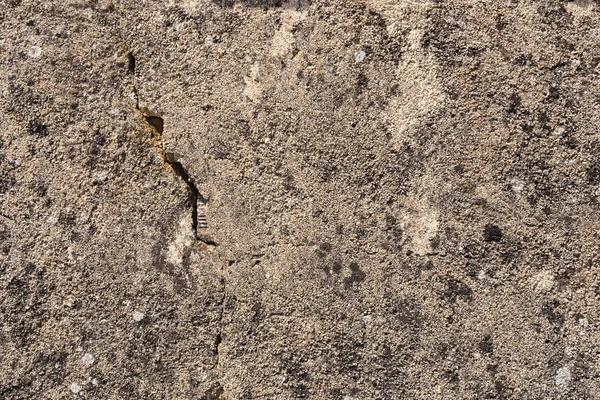 Schmutzige Zementwand — Stockfoto