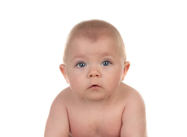 Portrait Adorable Baby Boy Five Month Old Isolated White Background — Stock Photo, Image