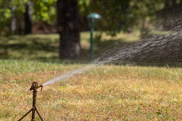 Lawn Water Sprinkler Spraying Water — Stock Photo, Image