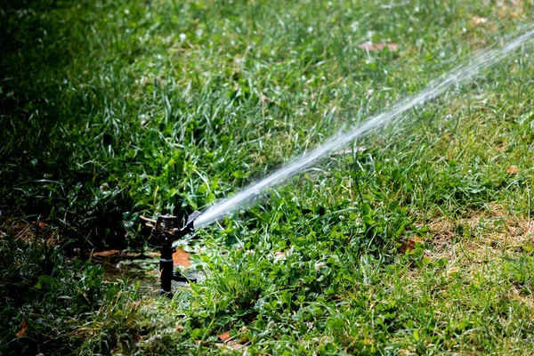 芝生の水スプリンクラースプレー水 — ストック写真
