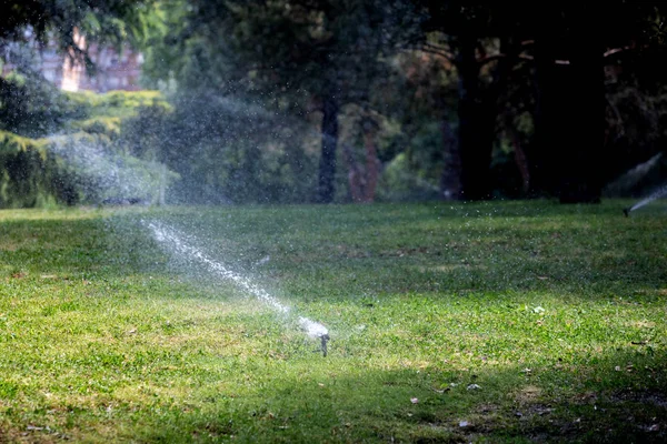 Lawn Víz Sprinkler Permetezés Víz Felett — Stock Fotó