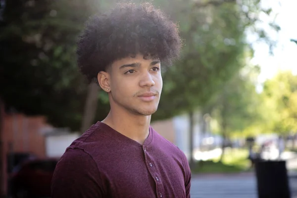 Male Teenager Afro Hairstyle Street Royalty Free Stock Images