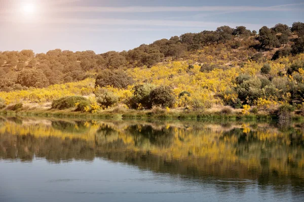 Río en un día soleado — Foto de Stock