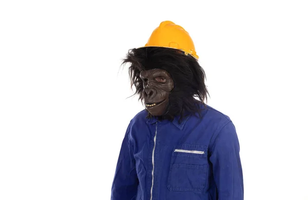 İşçi kıyafetleri ve sarı kasklı goril — Stok fotoğraf