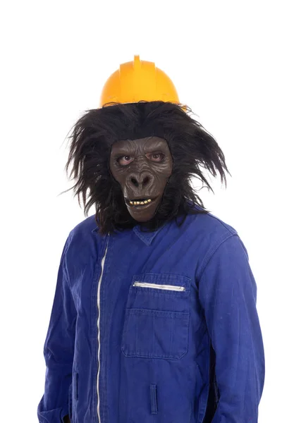 Gorilla with worker clothes and yellow helmet — Stock Photo, Image