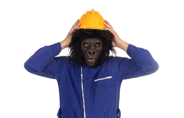 Gorilla con abiti da operaio e casco giallo — Foto Stock