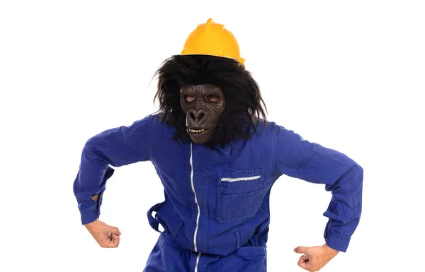 İşçi kıyafetleri ve sarı kasklı goril — Stok fotoğraf