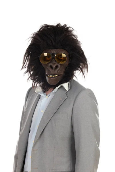 Бизнесмен с головой гориллы жестикулирует — стоковое фото