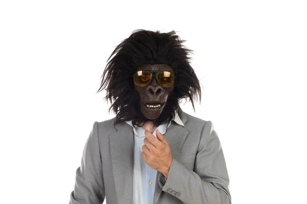 Zakenman Met Gorilla Head Gebaren Geïsoleerd Een Witte Achtergrond — Stockfoto