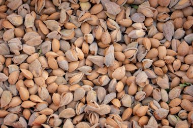 Birçok taze ağaçtan badem aldı