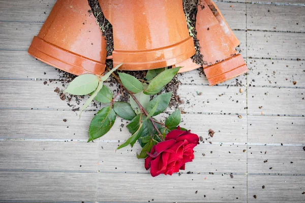 Vaso quebrado com uma rosa vermelha — Fotografia de Stock