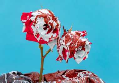 Boyalı kırmızı güller 