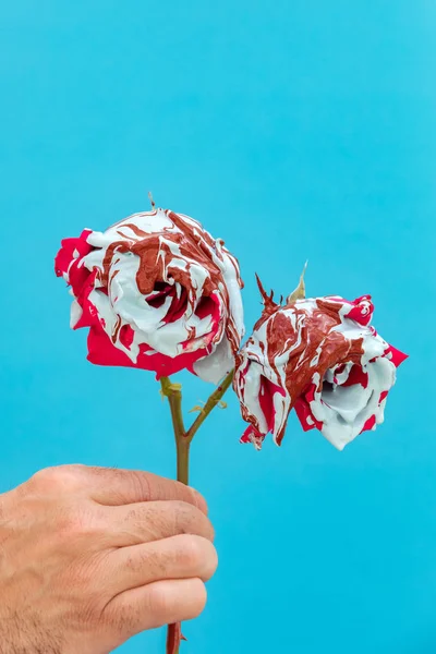 Rosas vermelhas manchadas com tinta — Fotografia de Stock