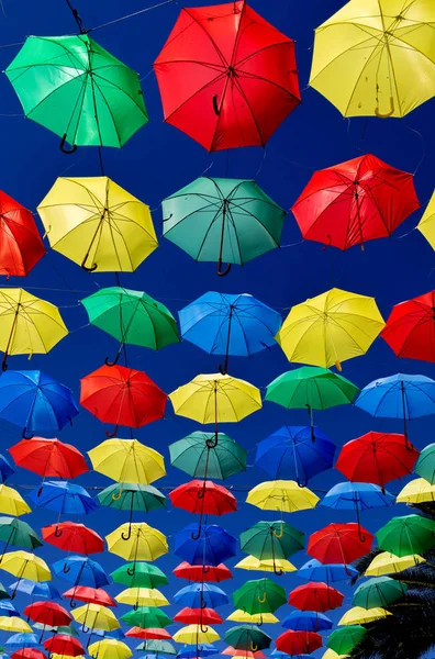 Parapluies colorés — Photo