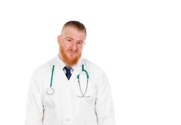 Redhead Doc Odizolowany Białym Tle — Zdjęcie stockowe