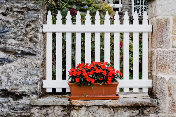 Beautiful Flower Pot Red Flowers Front White Wooden Fence — Stock Photo, Image