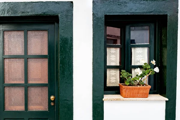 Beautiful Farmhouse Painted Green Beautiful Flowerpot — Stock Photo, Image