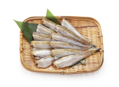 Beyaz arka plan üzerinde gece kurutulmuş sandfish