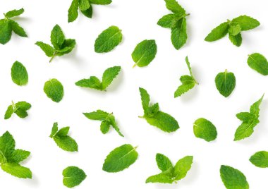 Beyaz arkaplanda pek çok nane yaprağının yukarıdan görünüşü