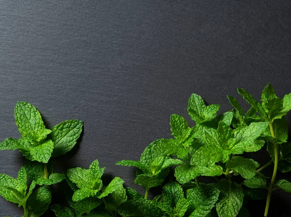 Mint Leaves Placed Black Background Copy Space — Stock Photo, Image