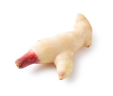 Beyaz arka planda taze zencefil