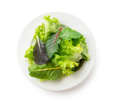 Beyaz arka planda tabakta çeşitli salata yaprakları