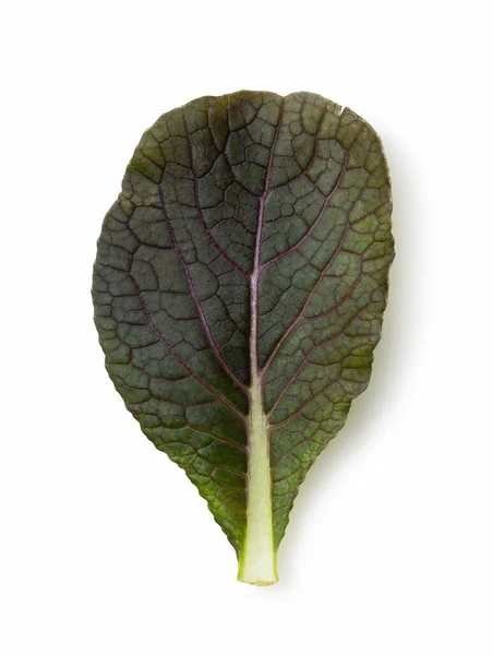 Hojas Ensalada Sobre Fondo Blanco —  Fotos de Stock