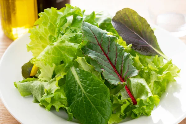 Verschiedene Salatblätter Und Olivenöl Auf Einem Teller — Stockfoto