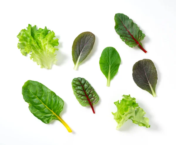 Verschiedene Salatblätter Auf Weißem Hintergrund — Stockfoto