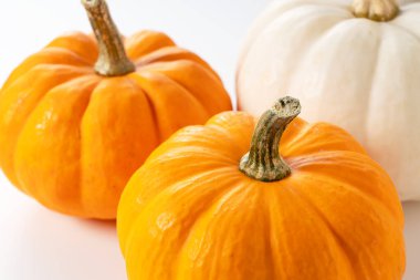 Beyaz arka planda turuncu ve beyaz balkabağı