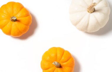 Beyaz arka planda turuncu ve beyaz balkabağı