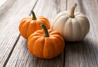 Turuncu ve beyaz balkabağı eski bir ağaç arka planına yerleştirilmiş