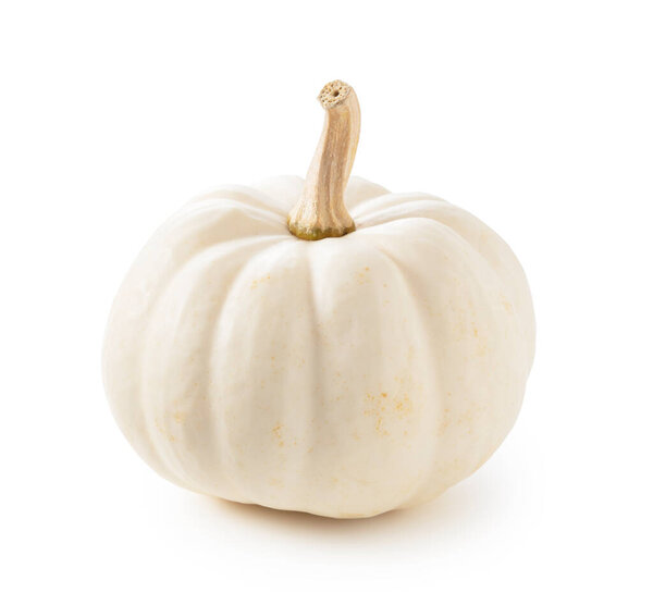 White pumpkin on a white background