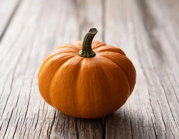 Eski bir ağacın arka planına yerleştirilmiş turuncu balkabağı