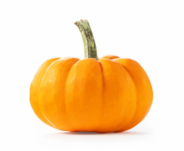 Orange Pumpkin White Background Stock Image