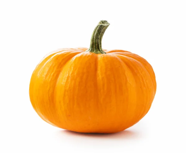 Orange Pumpkin White Background Royalty Free Stock Images