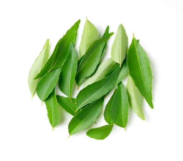Curry Leaves White Background — Stock Photo, Image