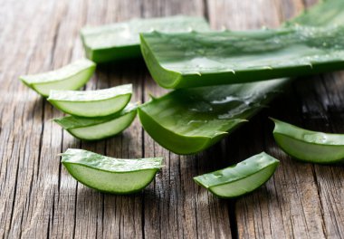 Eski bir ağacın arka planına yerleştirilmiş aloe vera 'yı kes