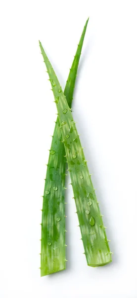 Klipp Aloe Vera Placeras Vit Bakgrund — Stockfoto