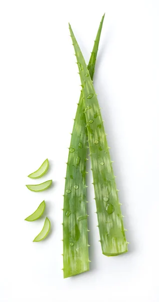 Corte Aloe Vera Colocado Sobre Fondo Blanco —  Fotos de Stock