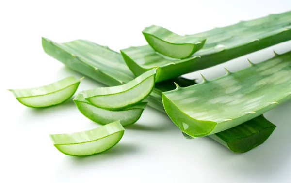 Corte Aloe Vera Colocado Sobre Fondo Blanco —  Fotos de Stock