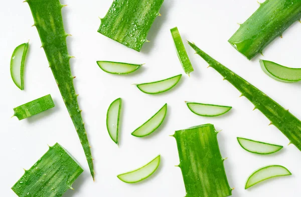 Corte Aloe Vera Colocado Sobre Fondo Blanco —  Fotos de Stock