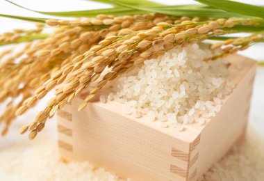 Close up of white rice, Japanese squares and ears of rice on a white background clipart