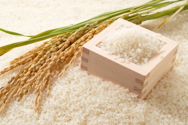 Beyaz pirinç ve Japon Masu ve pirinç kulakları.