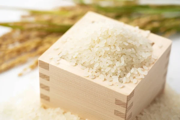 Close White Rice Japanese Squares Ears Rice White Background — Stock Photo, Image