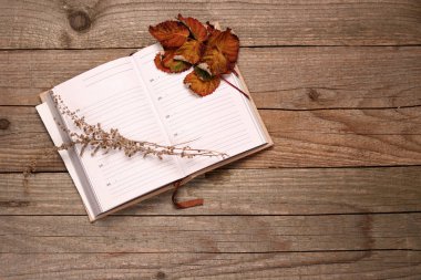 Bir günlük, Kuru ot ve ahşap arka plan üzerinde sonbahar yaprakları