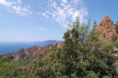 Korsika Bölgesel Doğa Parkı 'ndaki Porto Koyu